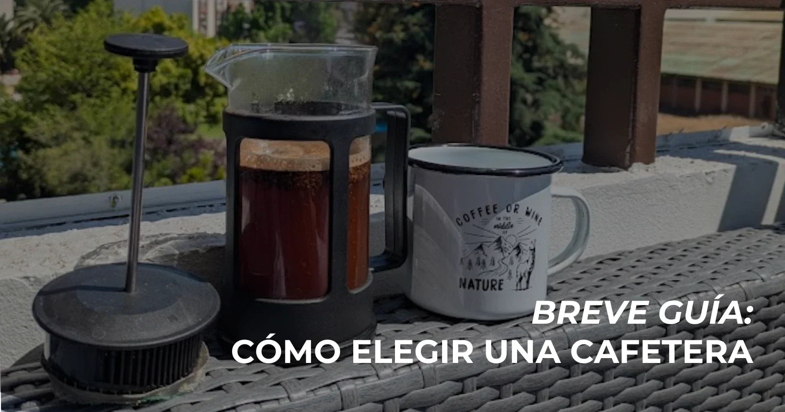 CÓMO ELEGIR UNA CAFETERA