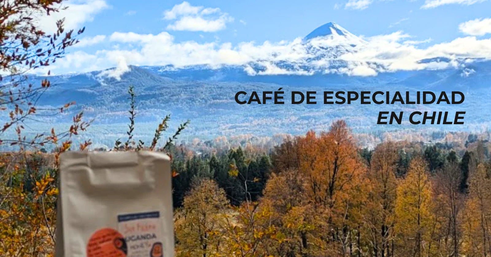 Café de especialidad en Chile: qué es, qué buscar y cómo no botar tu plata - Café Sin Filtro