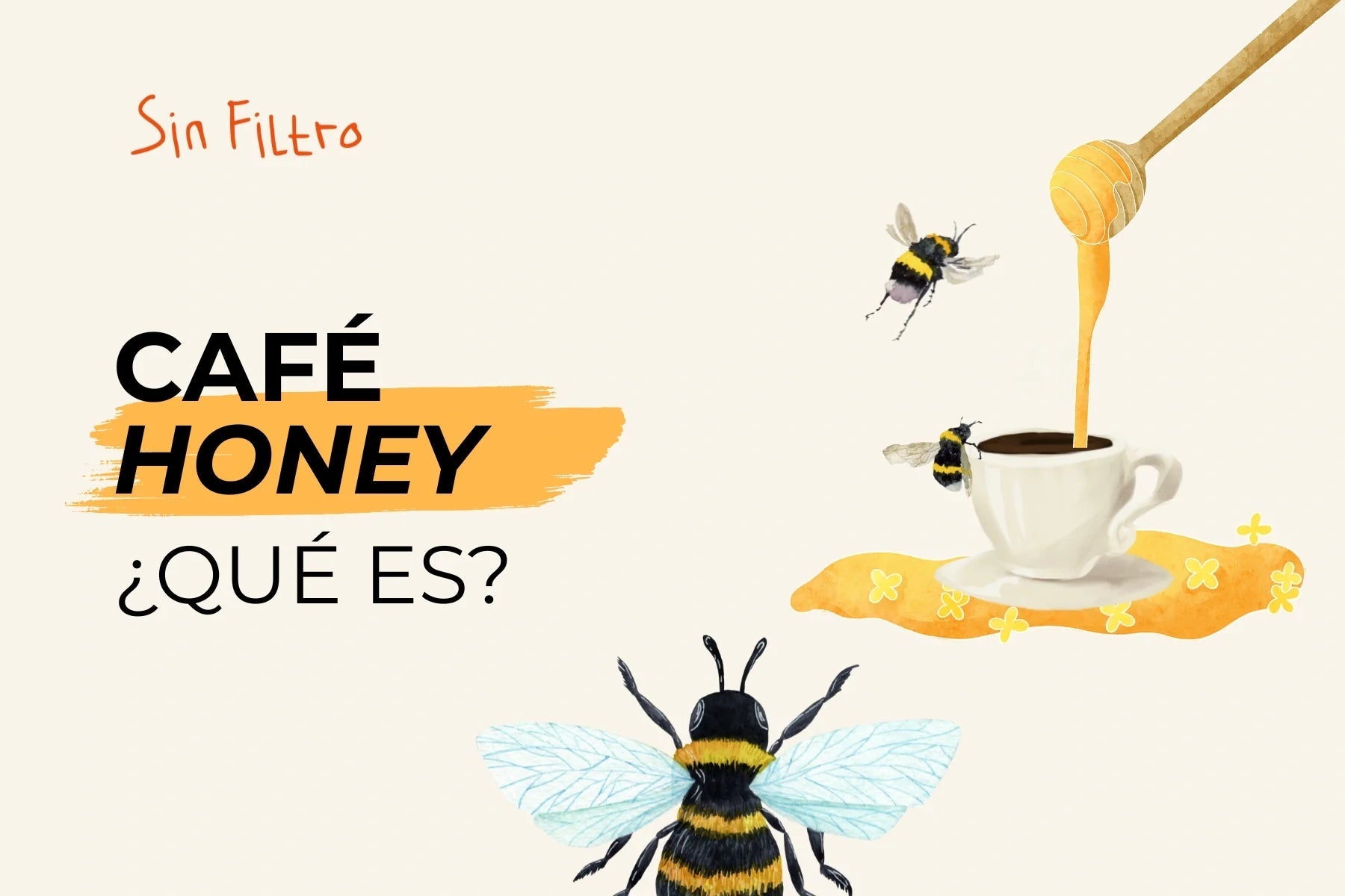 Café Honey: qué es, a qué sabe (y por qué no tiene nada que ver con miel) - Café Sin Filtro