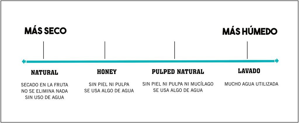 Café lavado: qué es, por qué es tan limpio y cómo entenderlo (sin humo) - Café Sin Filtro