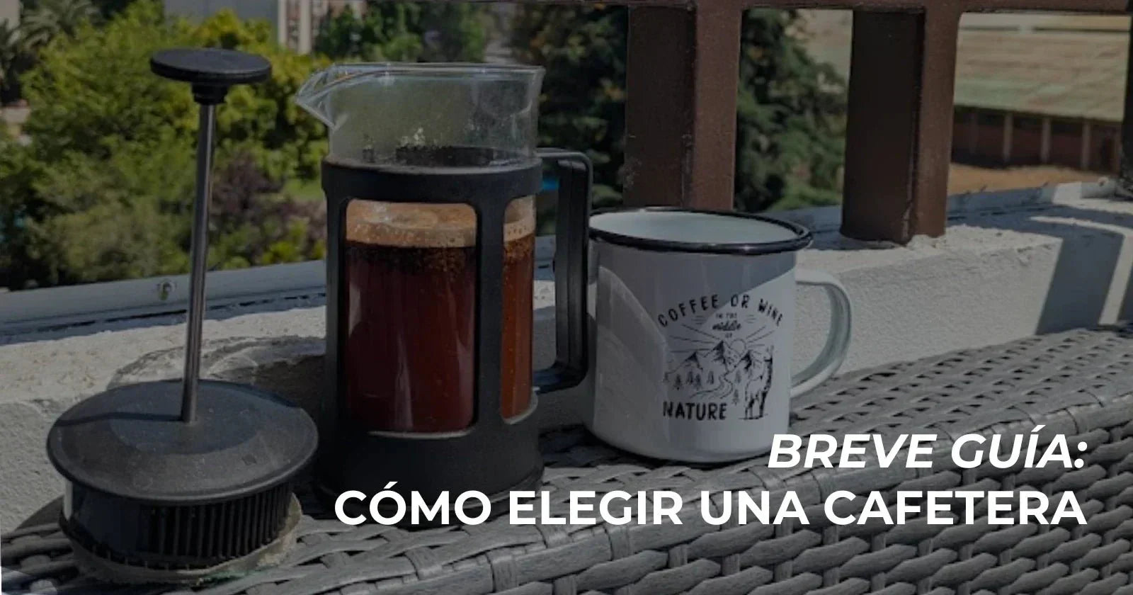Cómo elegir una cafetera: breve guía - Café Sin Filtro