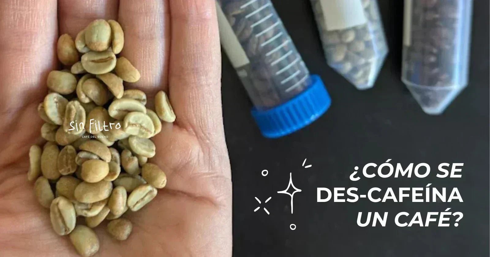 ¿Cómo se hace el café descafeinado? Todo lo que nadie pregunta - Café Sin Filtro