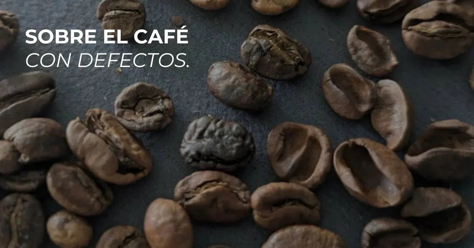Defectos en el grano de café: qué son, cómo se detectan y por qué importan - Café Sin Filtro