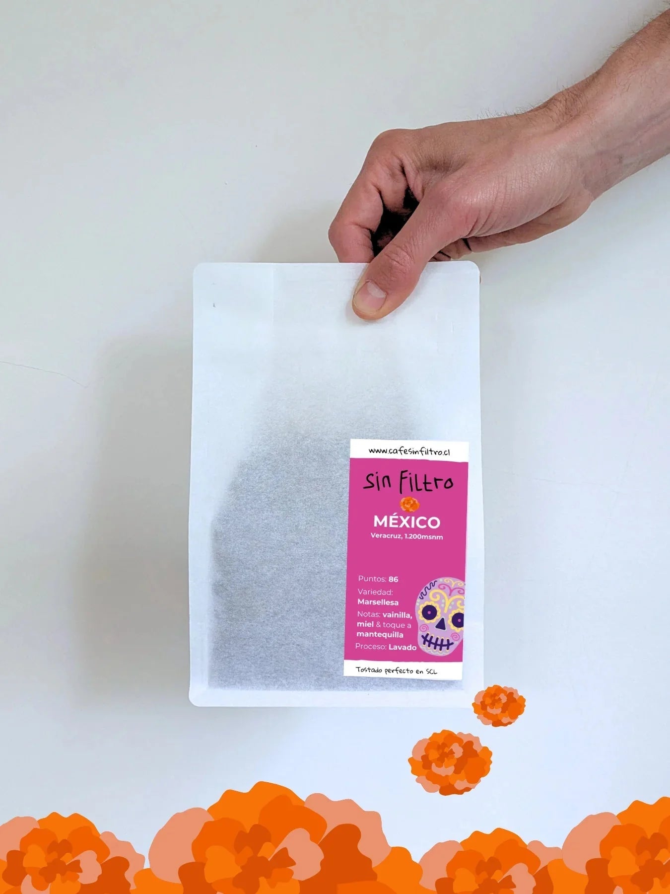 Café de especialidad - Café Sin Filtro