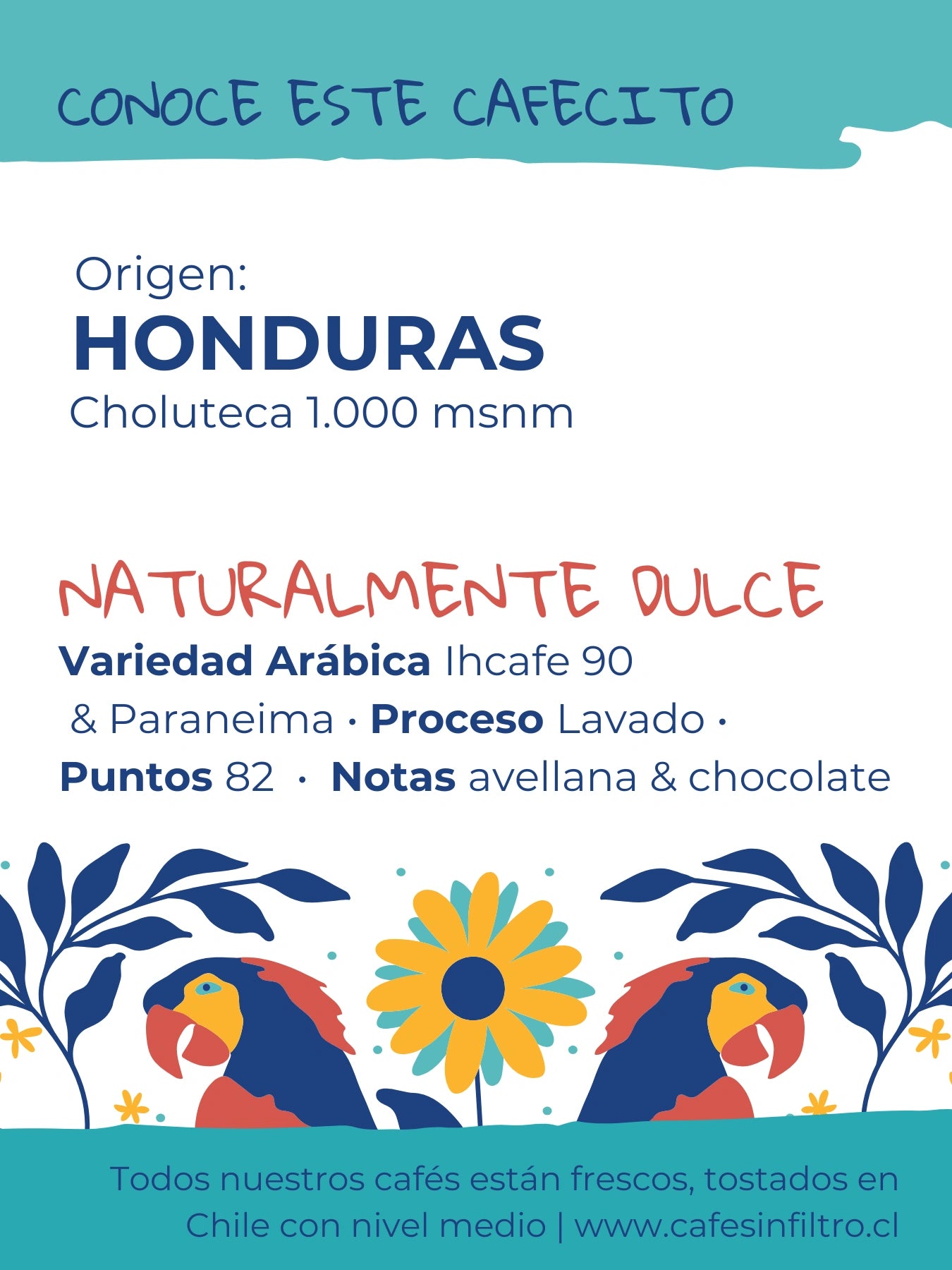 Cafe de especialidad