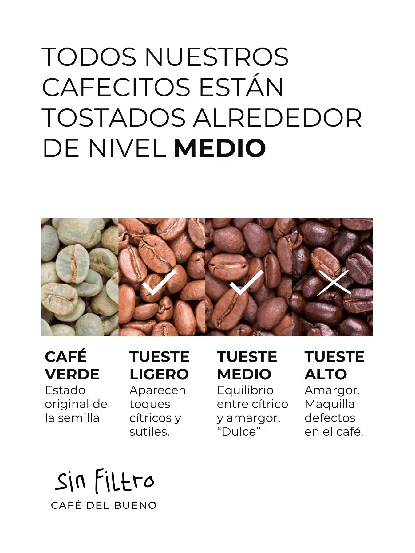 Bolivia Andino Amazónico | Café de Especialidad en Grano - Café Sin Filtro