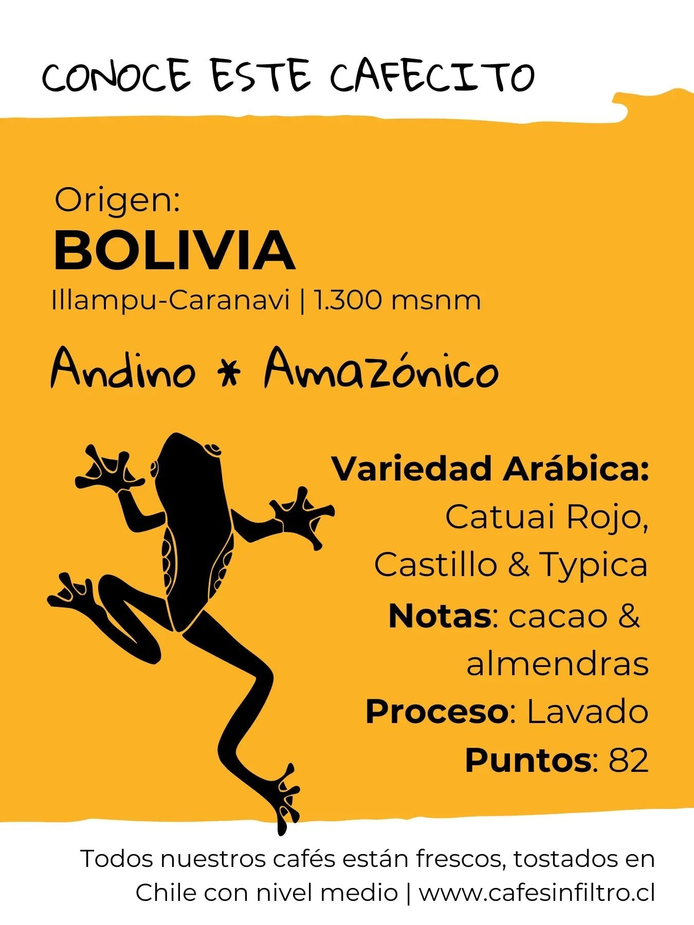 Bolivia Andino Amazónico | Café de Especialidad en Grano - Café Sin Filtro