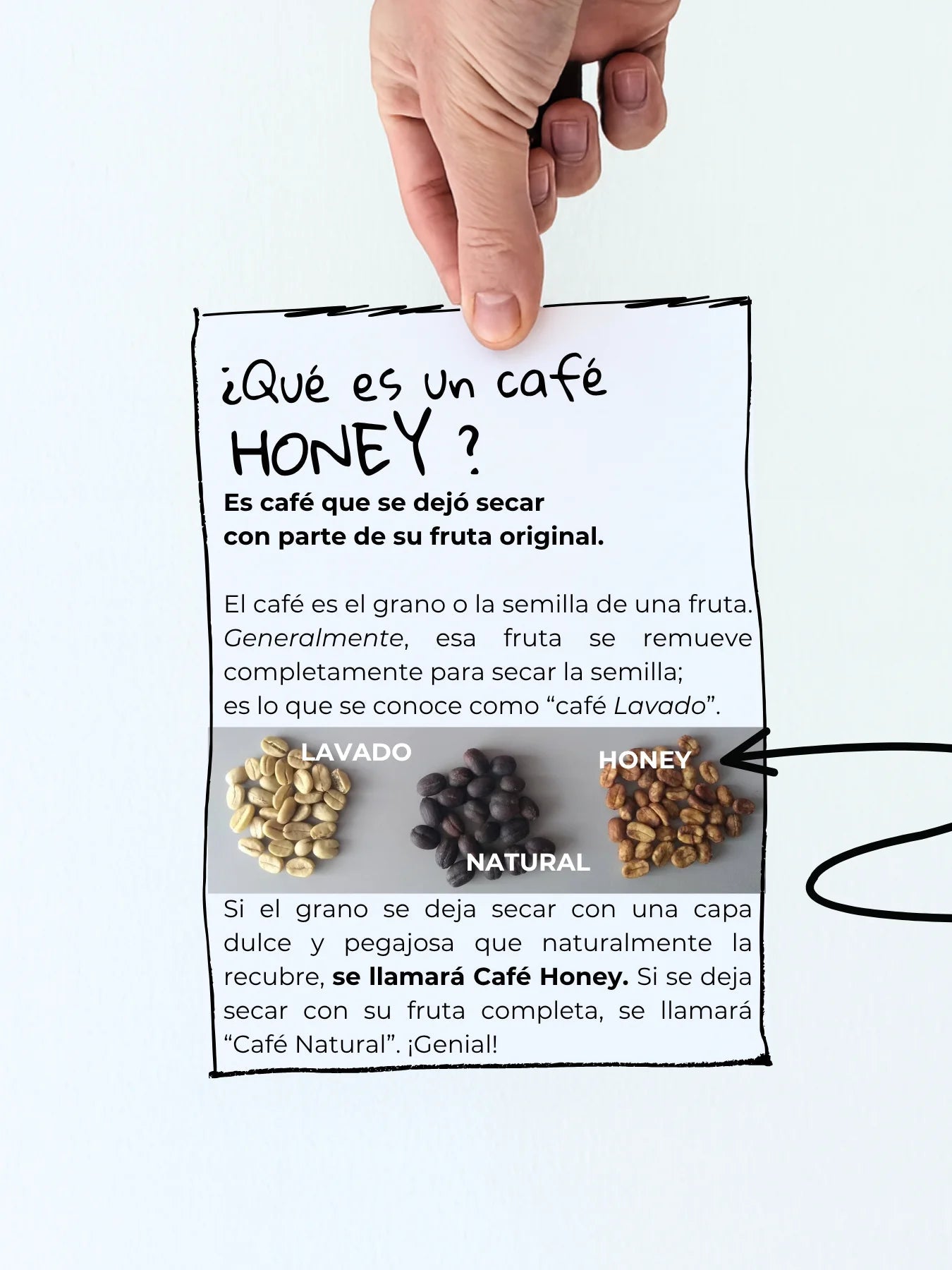 Bourbon Rosado Honey - Café Sin Filtro