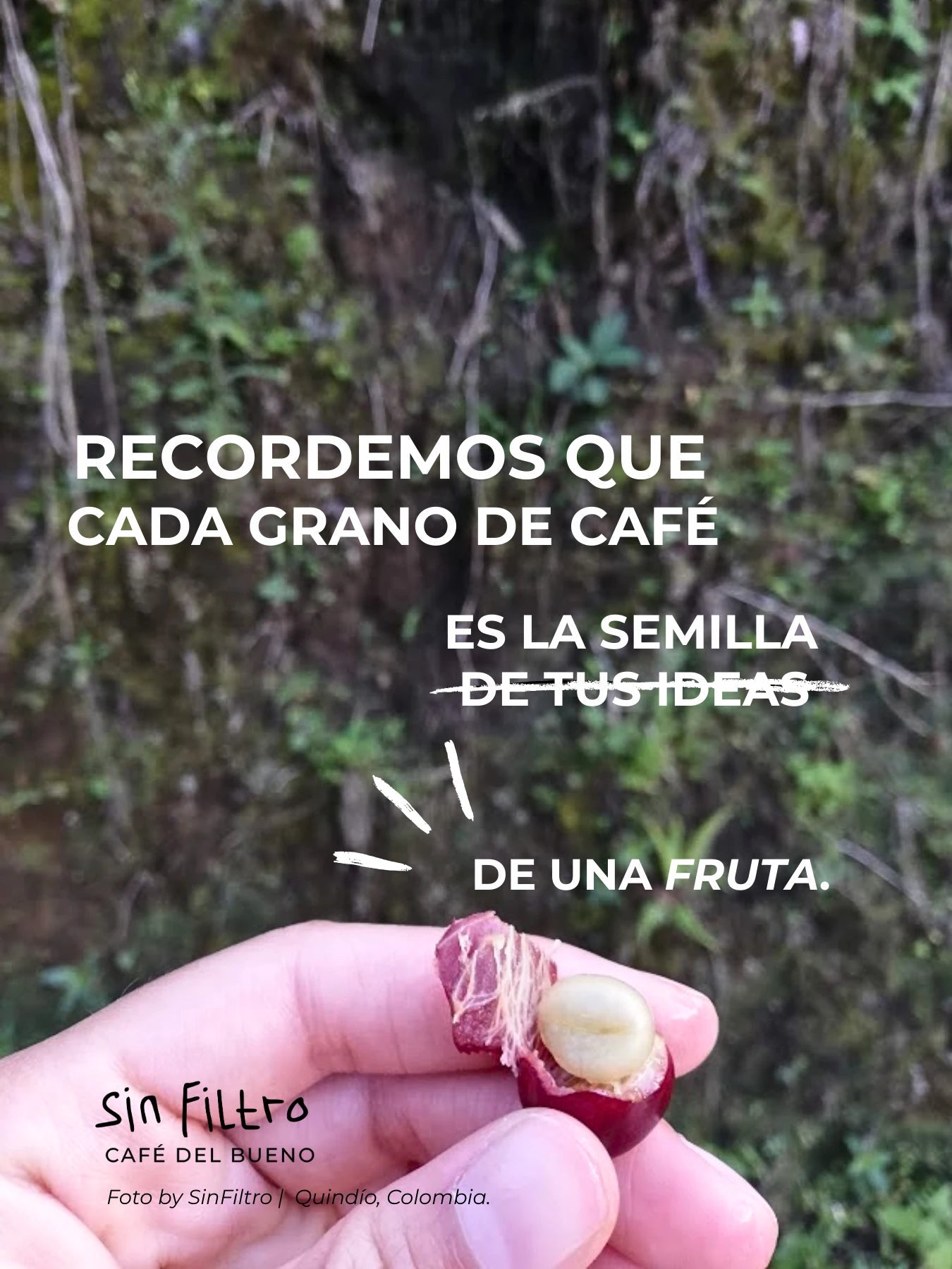 Café de especialidad Colombia Natural | Exótico, Frutal - Café Sin Filtro