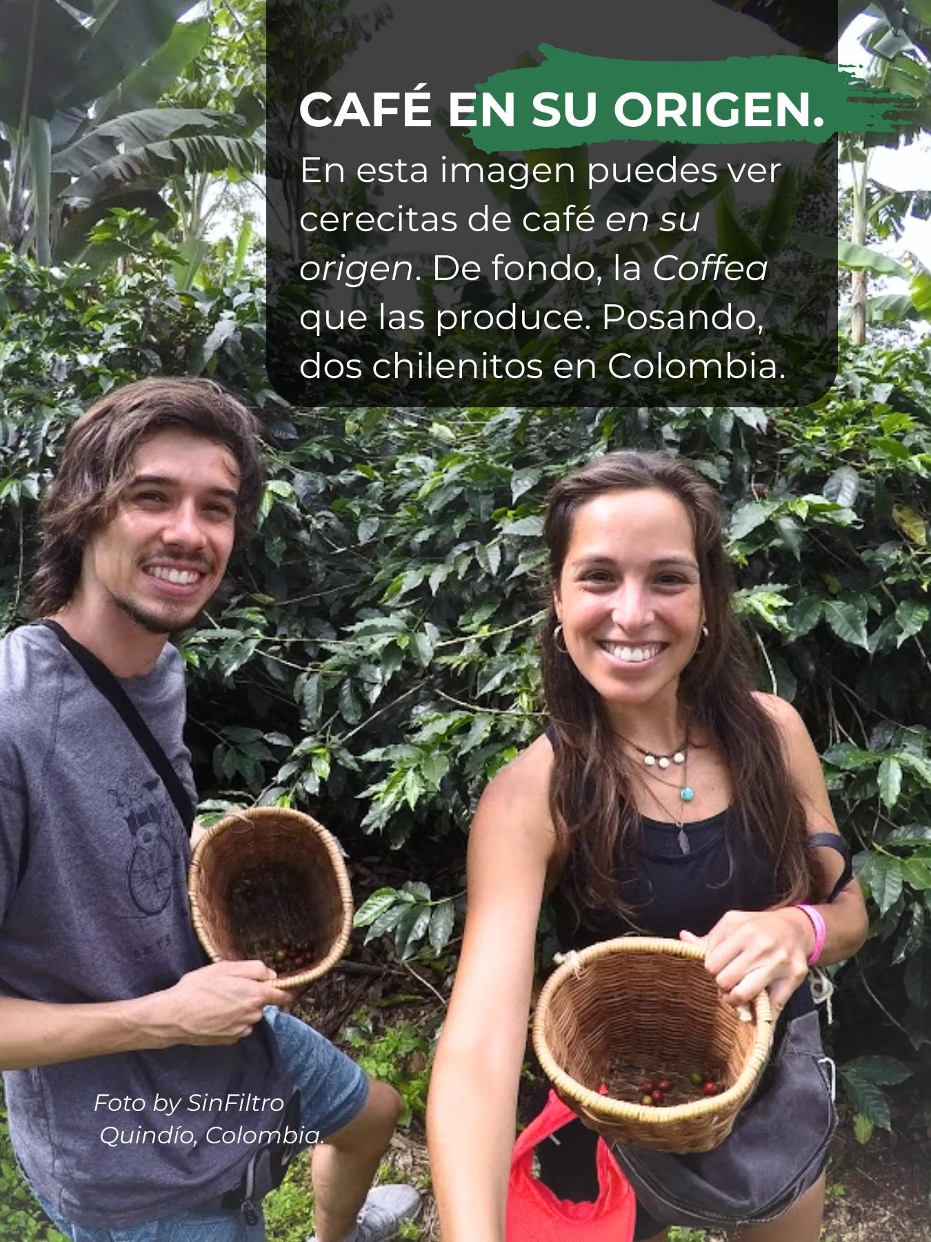 Café de especialidad Colombia Natural | Exótico, Frutal - Café Sin Filtro