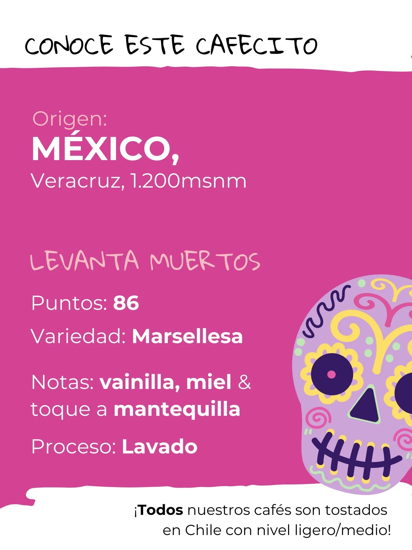 Café de especialidad México | Levanta Muertos - Café Sin Filtro