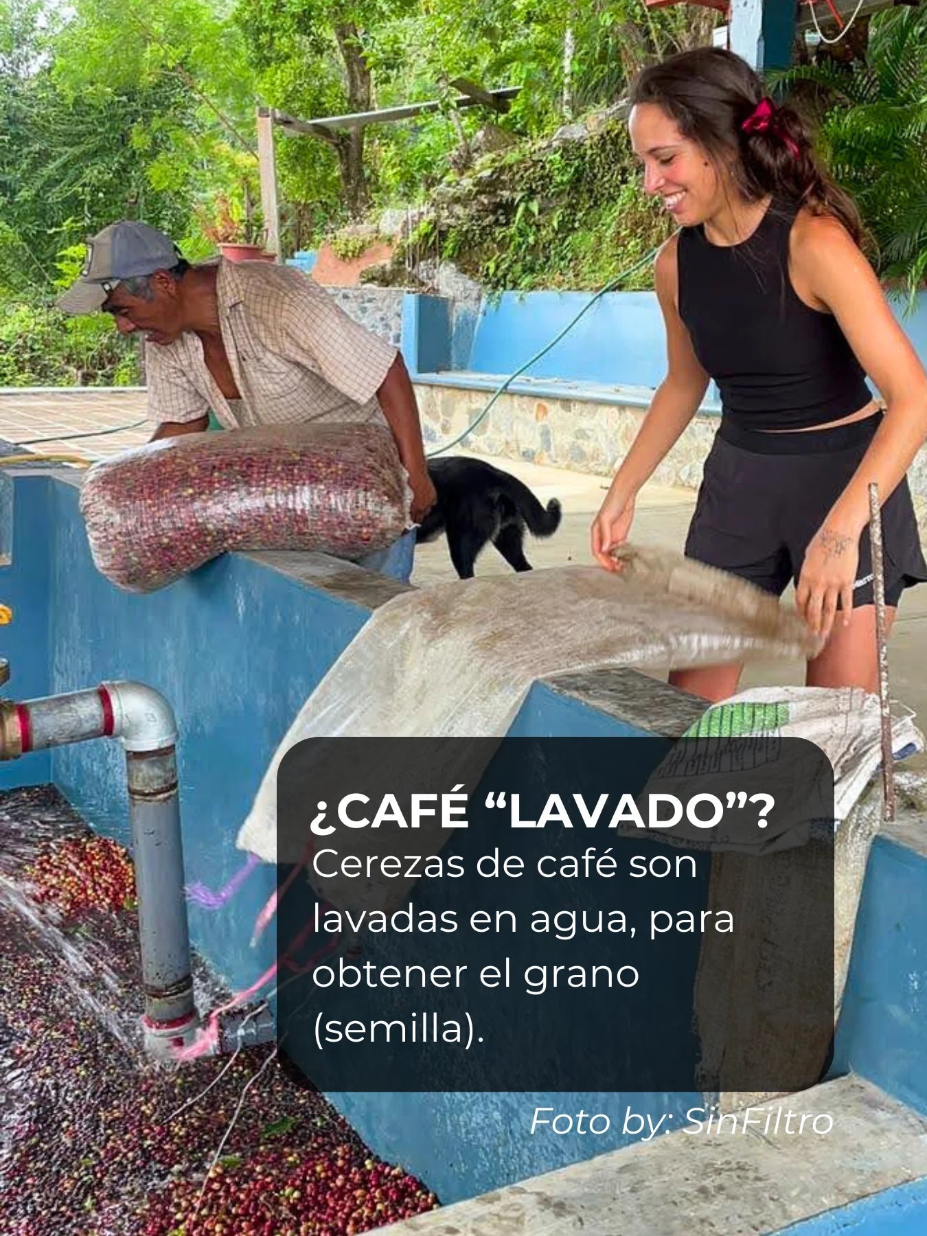 Café de especialidad México | Levanta Muertos - Café Sin Filtro