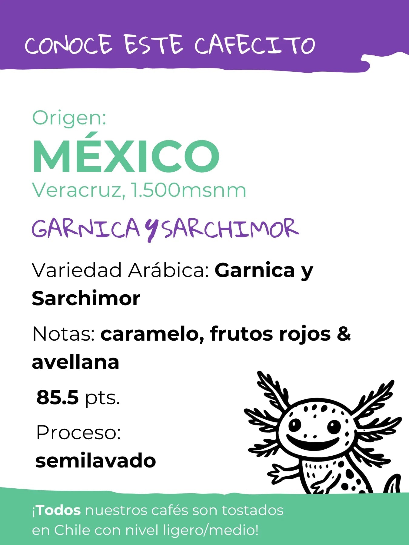 café de especialidad México notas caramelo frutos rojos