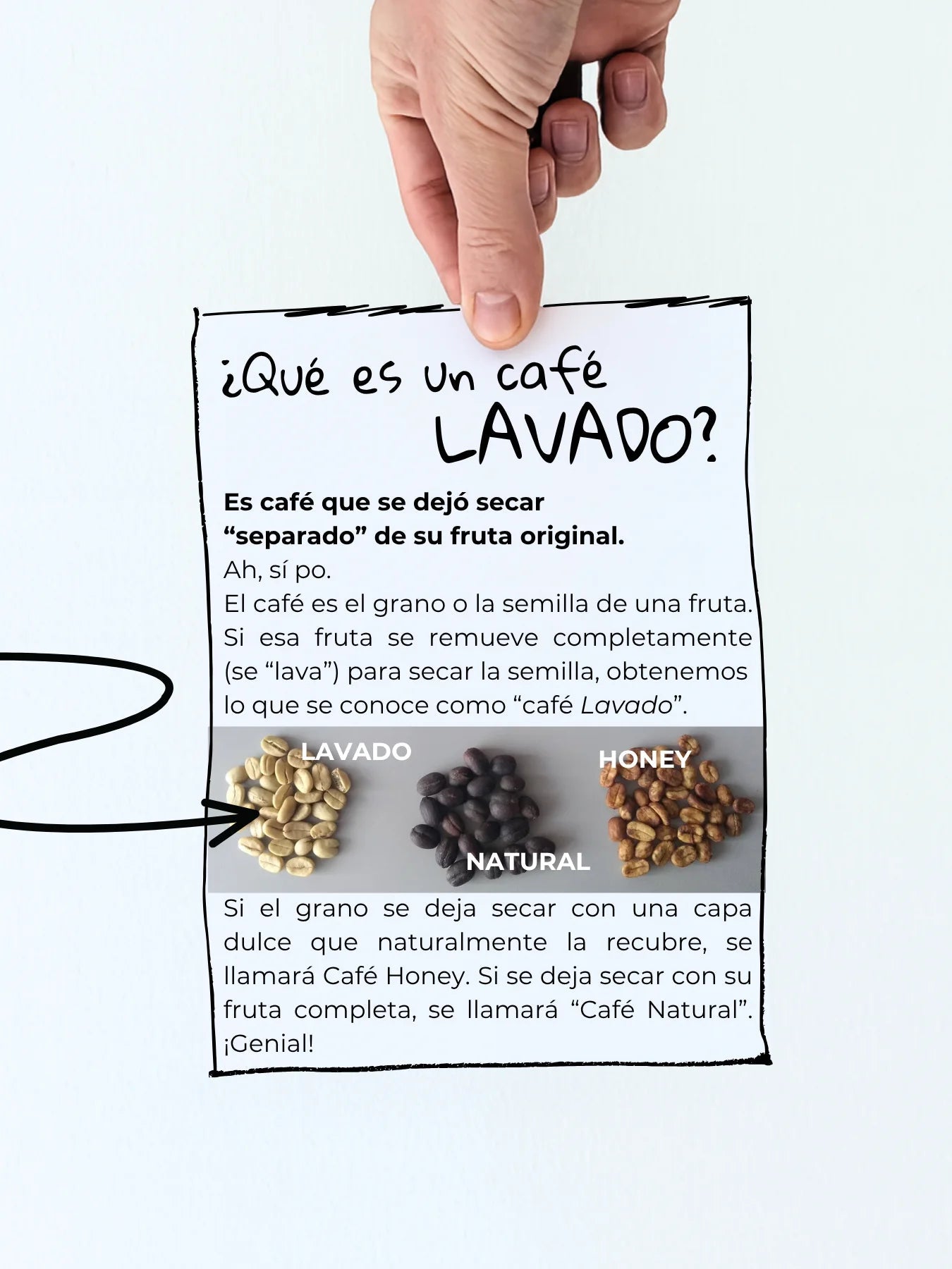 Etiopía Oromía | Lavado - Café Sin Filtro