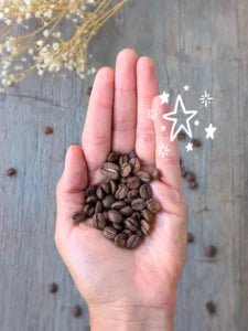 Kit Cafetero Completo — Café + Cafetera + Regalo sorpresa - Café Sin Filtro