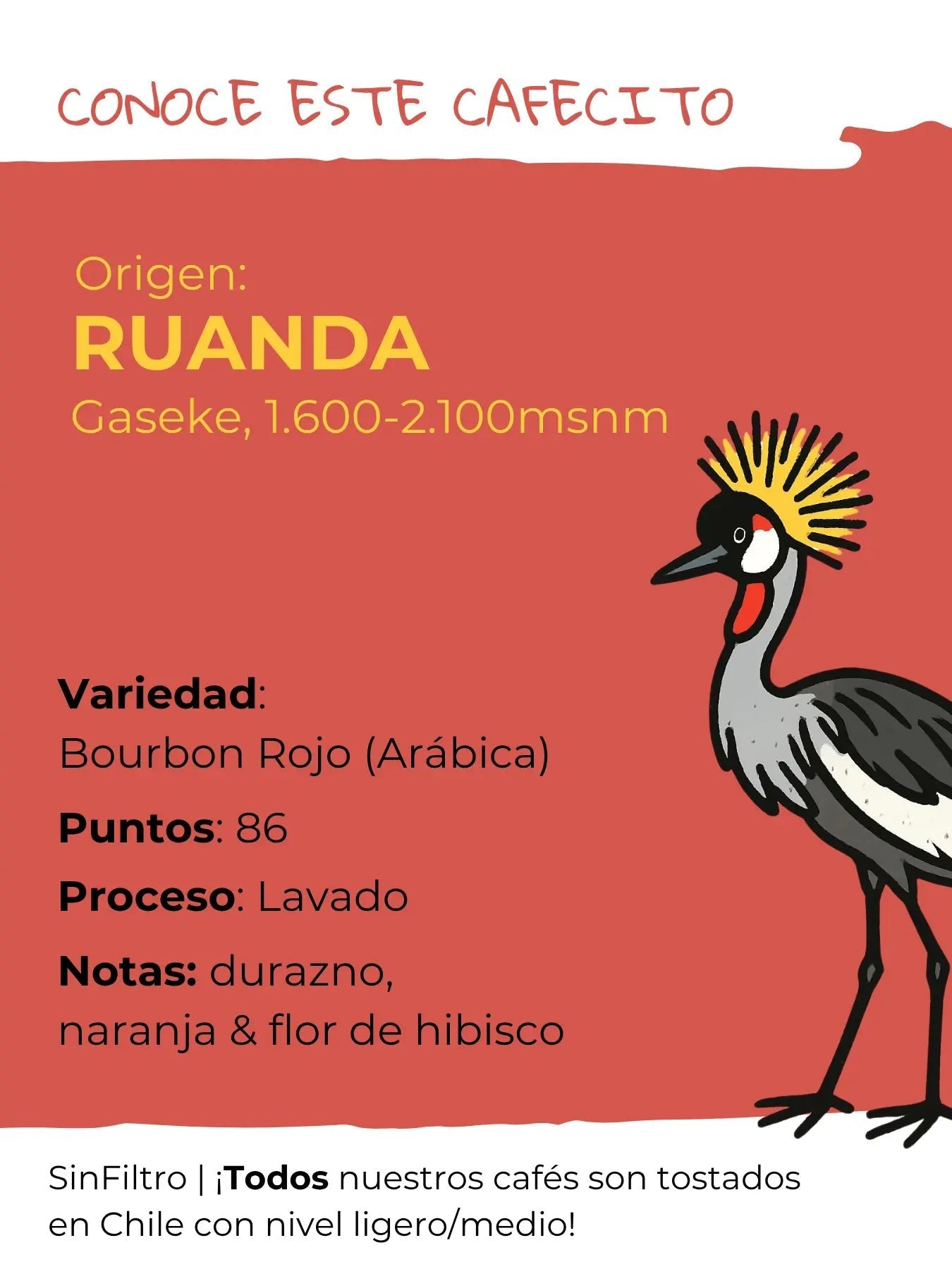 Ruanda Bourbon Rojo | Café de especialidad africano - Café Sin Filtro