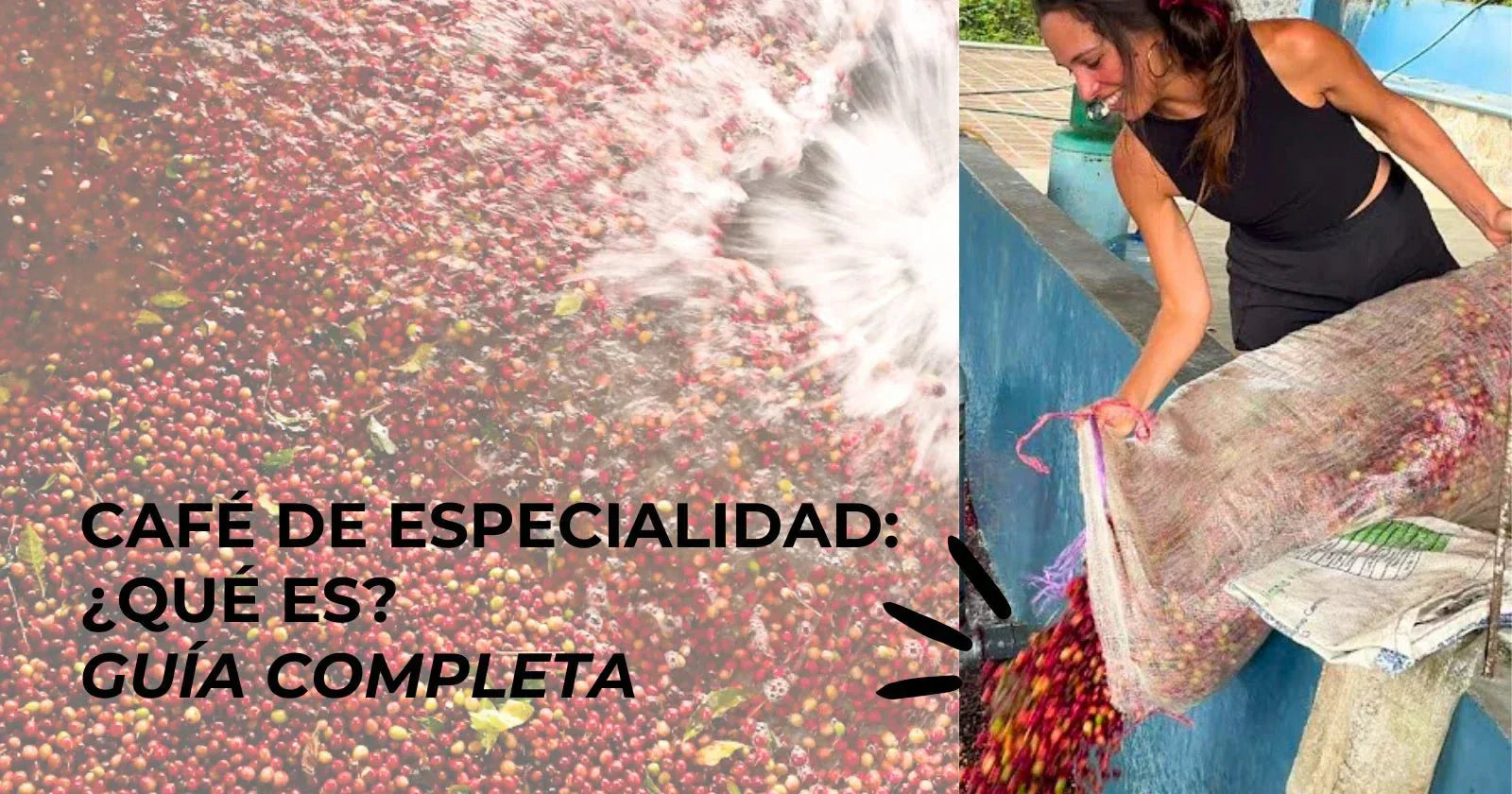 Café de especialidad: qué es, cómo se diferencia del café comercial y por qué deberías probarlo - Café Sin Filtro