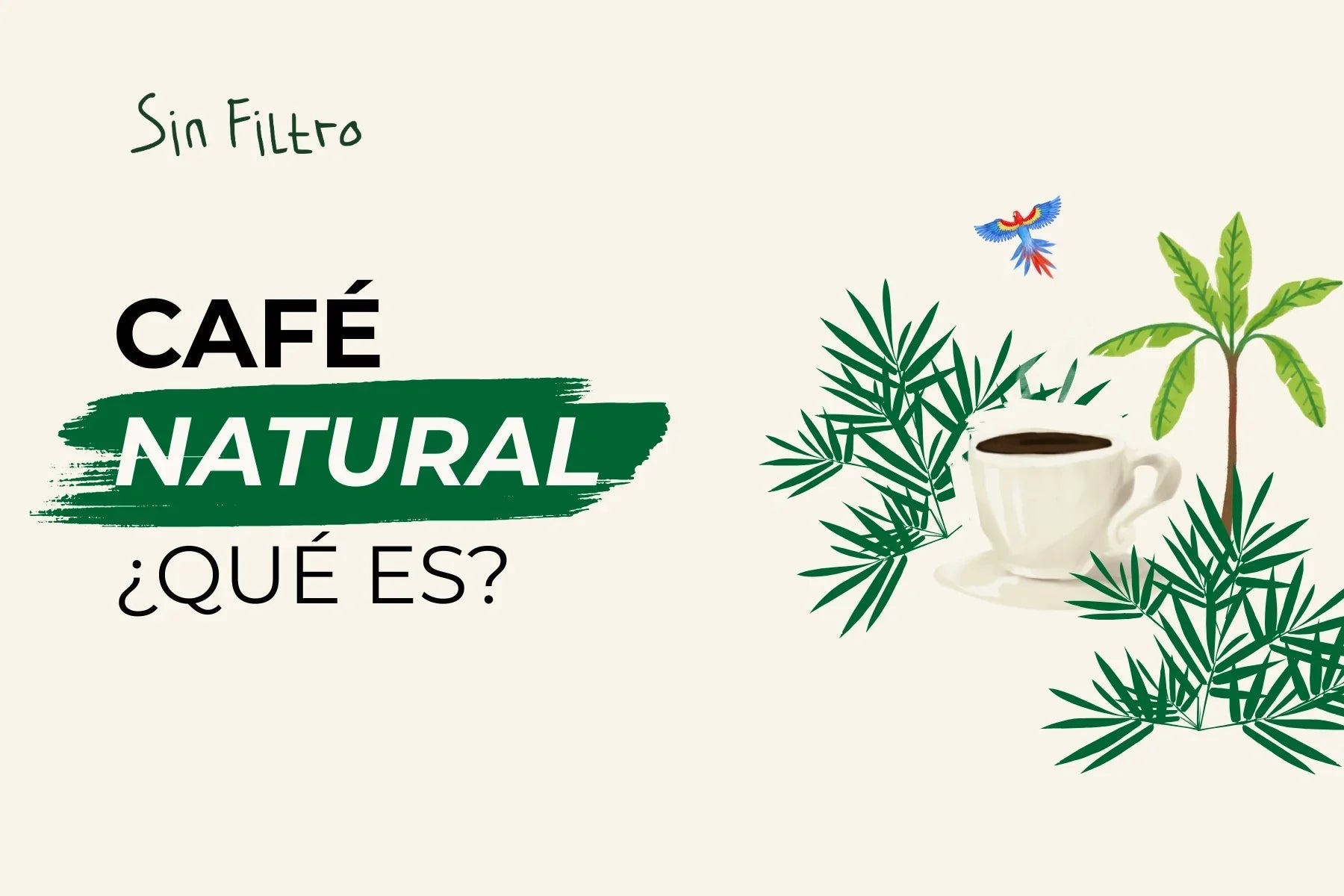 Café de Proceso Natural: qué es, cómo se hace y por qué sabe tan distinto - Café Sin Filtro