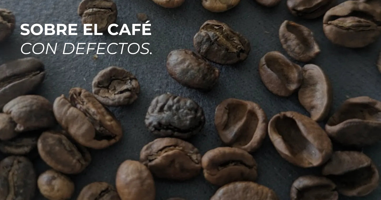 QUÉ SON LOS DEFECTOS DEL CAFÉ