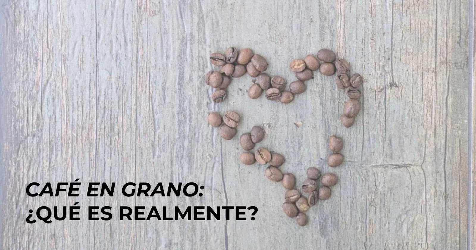 Café en grano: qué es, de dónde viene y por qué puede mejorar tu forma de tomar café - Café Sin Filtro