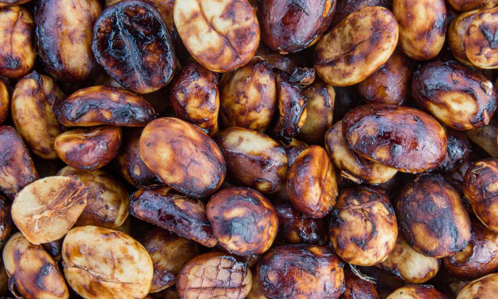 Café Proceso Honey: qué es, a qué sabe y por qué es el equilibrio perfecto en tu taza - Café Sin Filtro