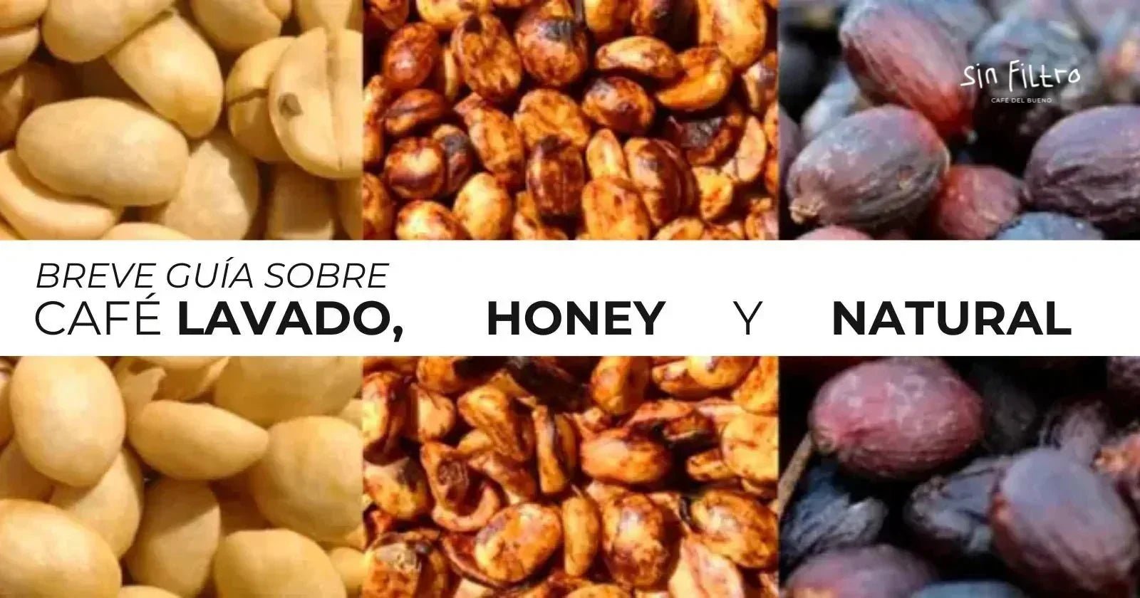 Diferencia entre café lavado, natural y honey (y cómo se nota en tu taza) - Café Sin Filtro