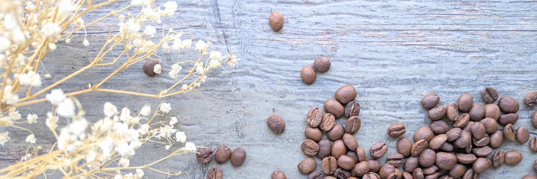 CAFE DE ESPECIALIDAD CHILE