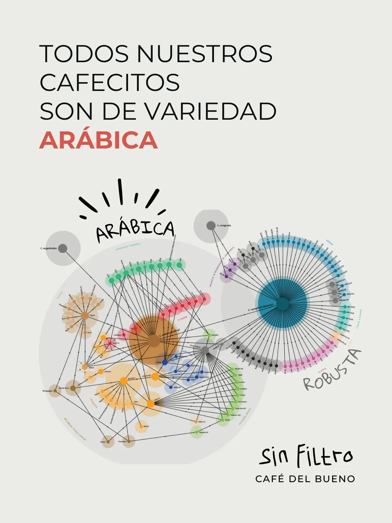 Bolivia Andino Amazónico | Café de Especialidad en Grano - Café Sin Filtro