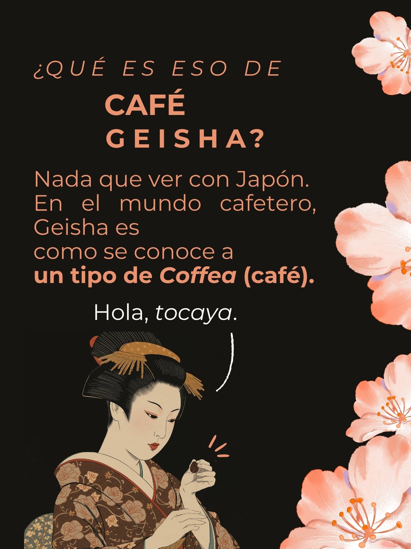 Bolivia Geisha Natural | Edición MUY Limitada - Café Sin Filtro