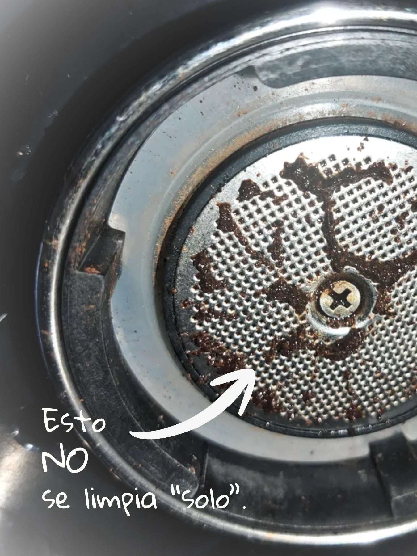 Cepillo para máquina espresso - Café Sin Filtro