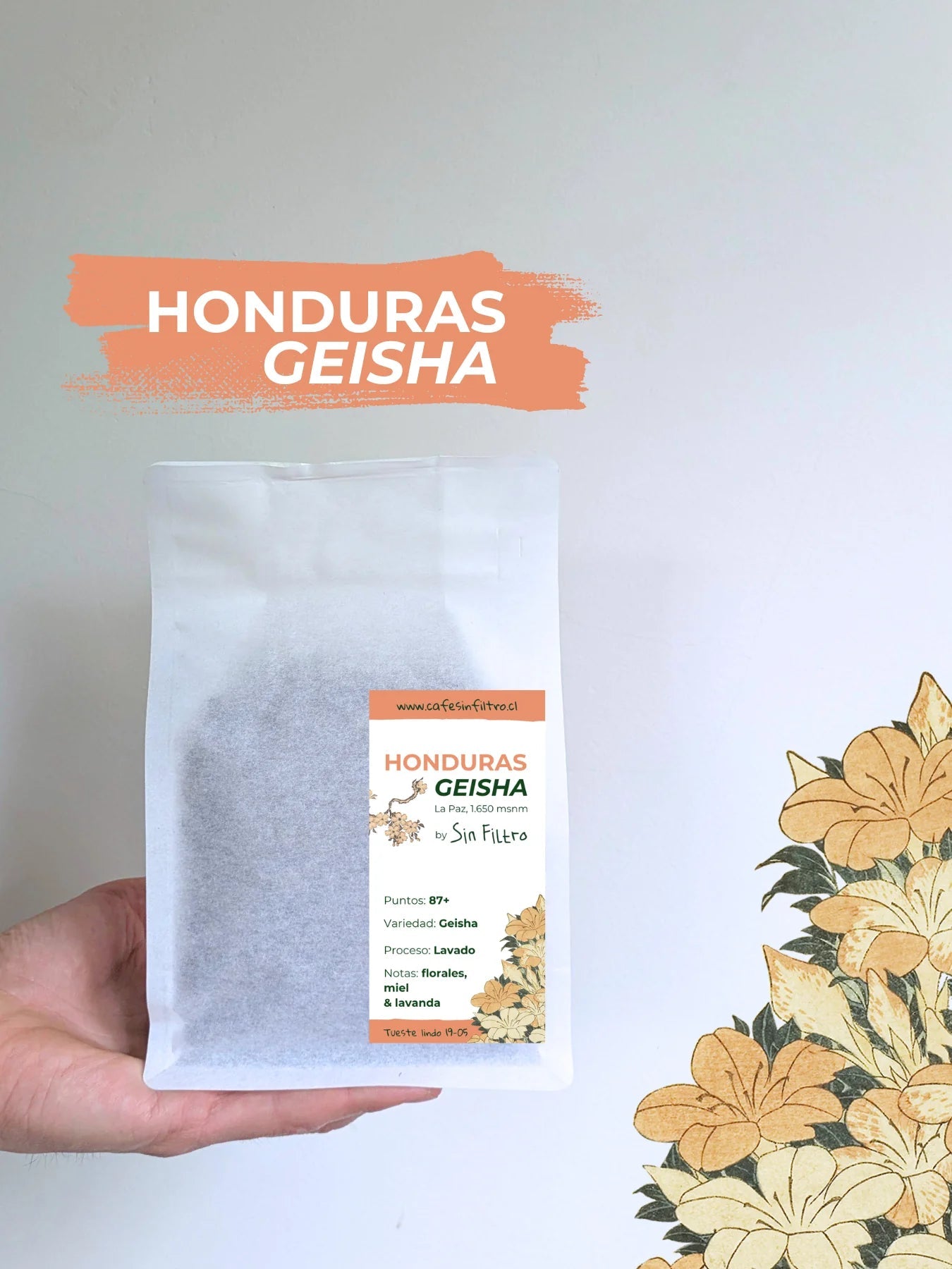 Honduras Geisha | Café de Especialidad Tostado en Chile - Café Sin Filtro