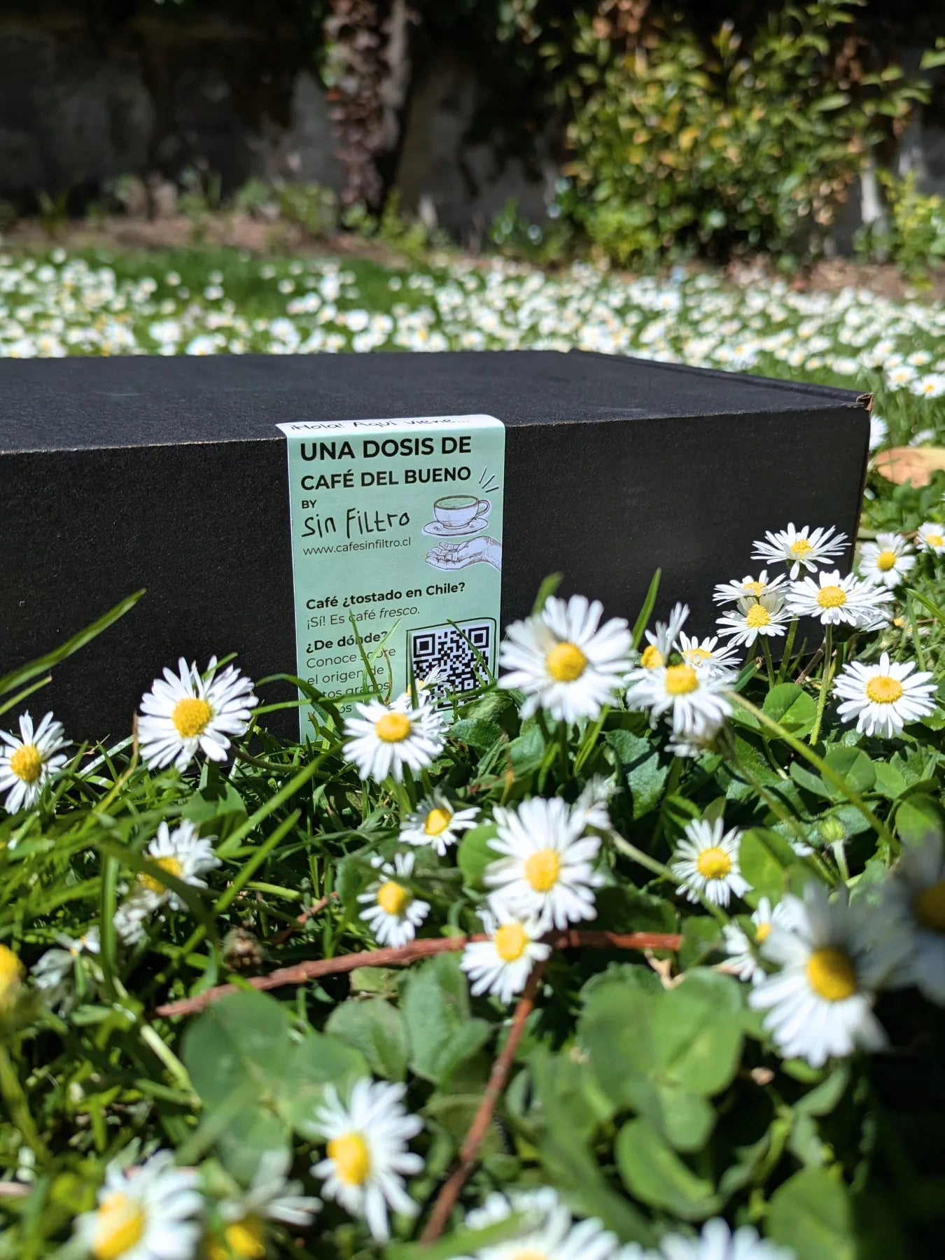 Kit Café de Especialidad – 3 Orígenes - Café Sin Filtro